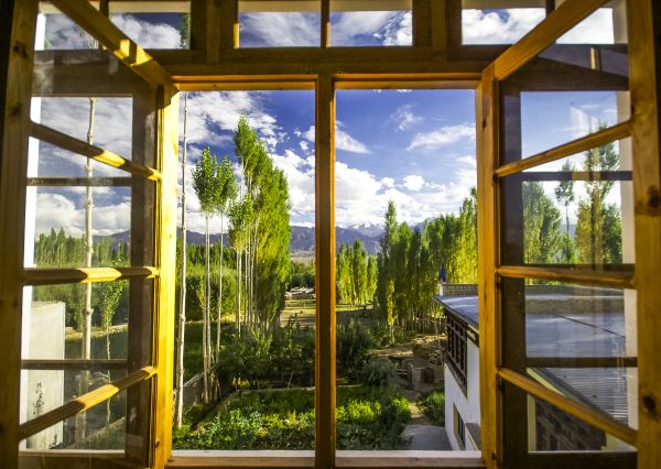 Wood Window Replacement in Seattle