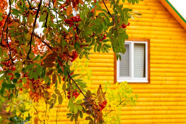 Cost of Garden Window Replacement in Seattle